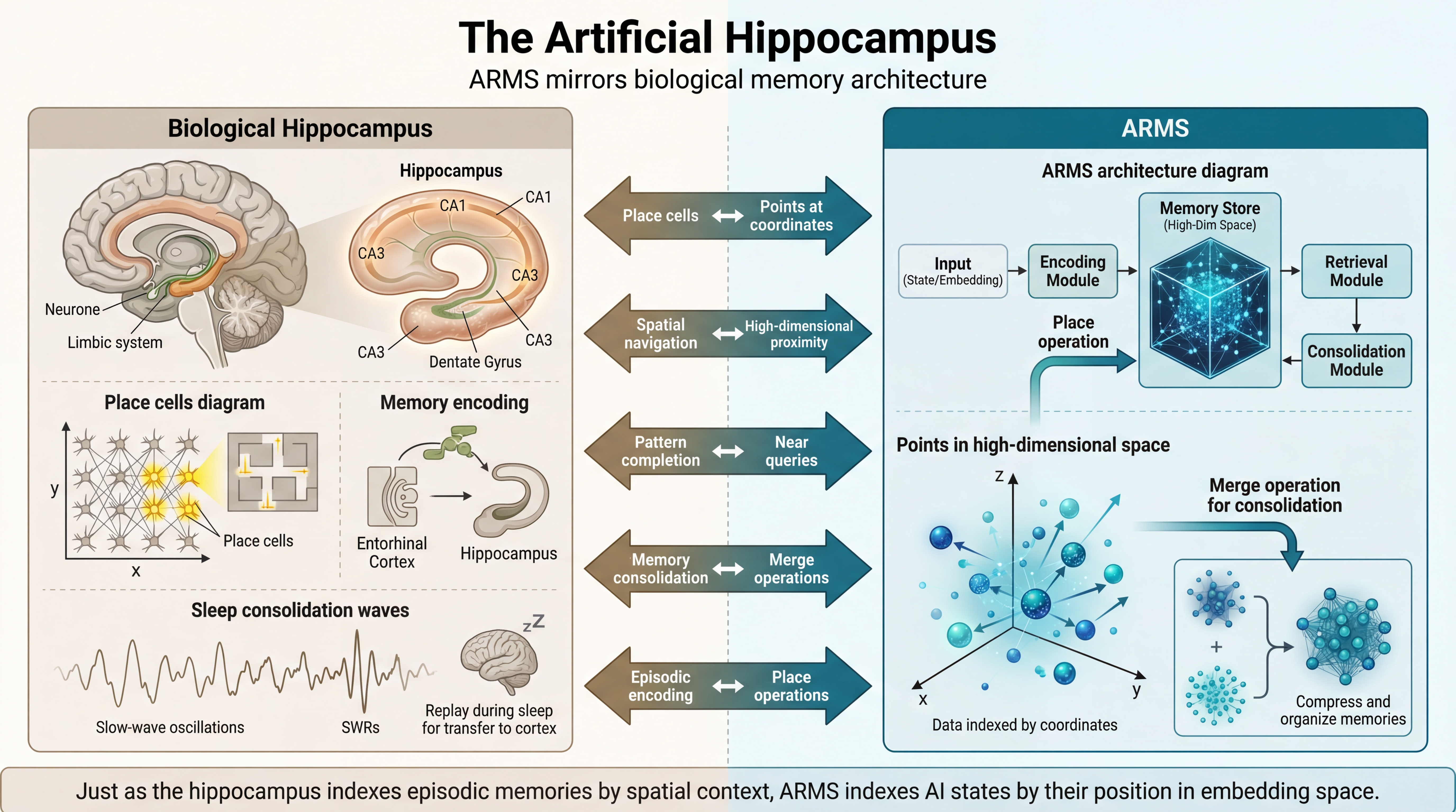 Hippocampus Analogy