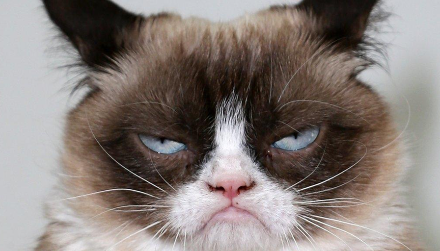 grumpy.png