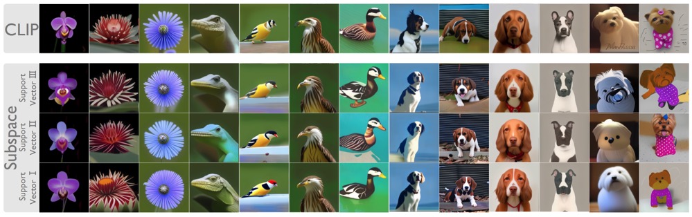 Subspace Visualization