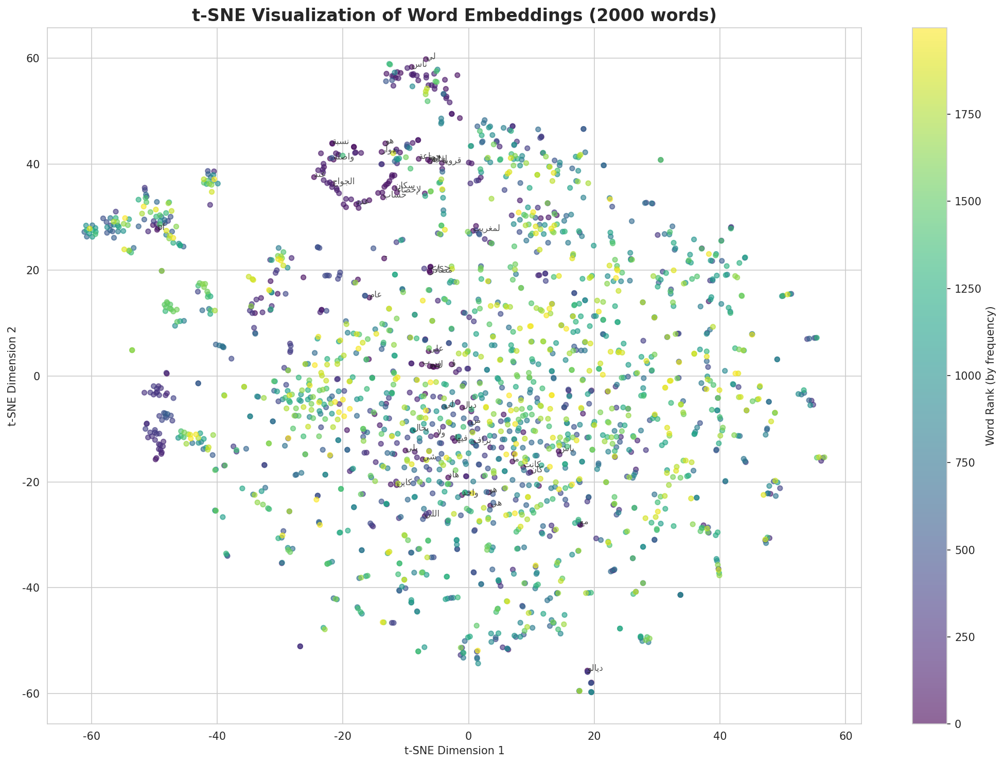 t-SNE Words