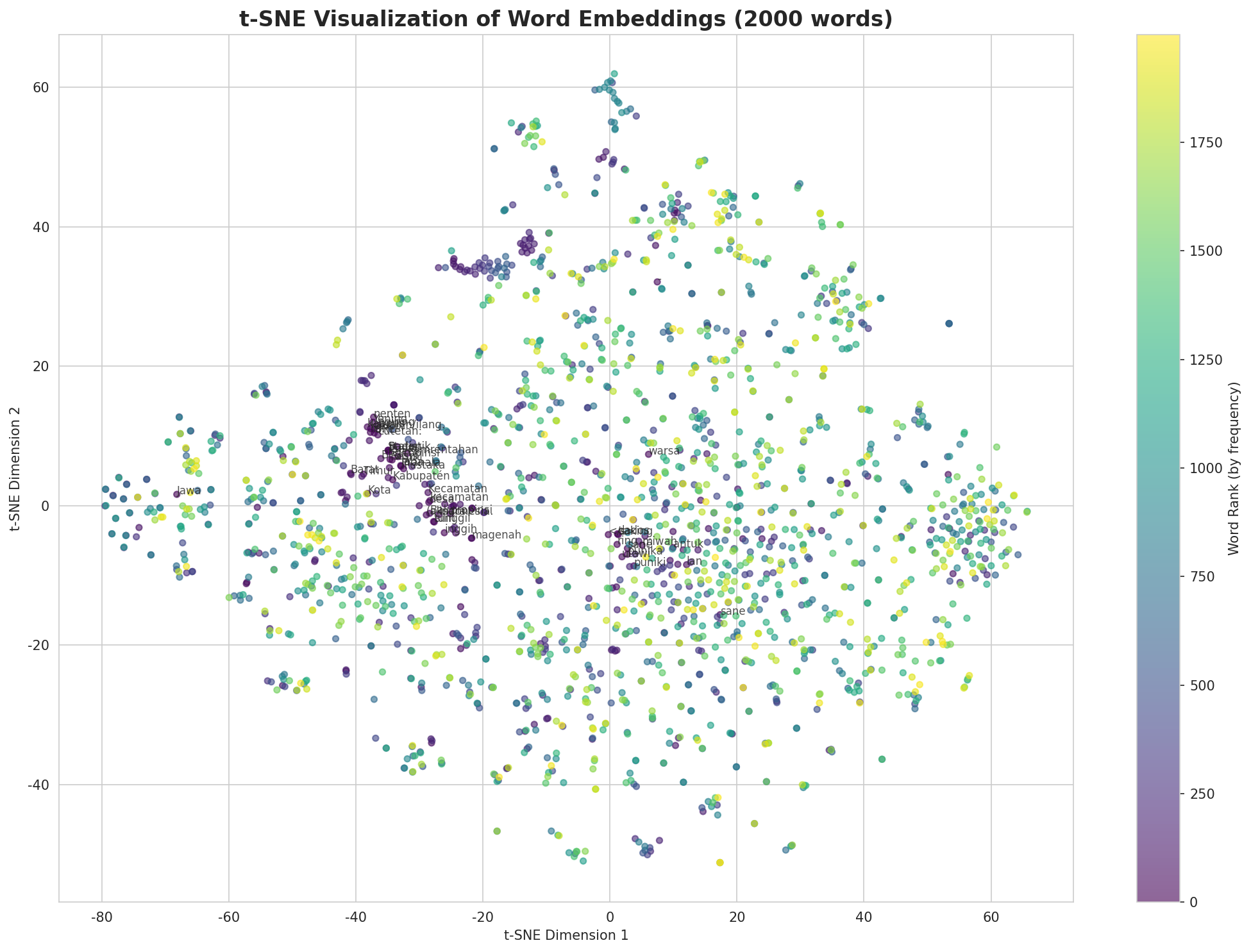 t-SNE Words
