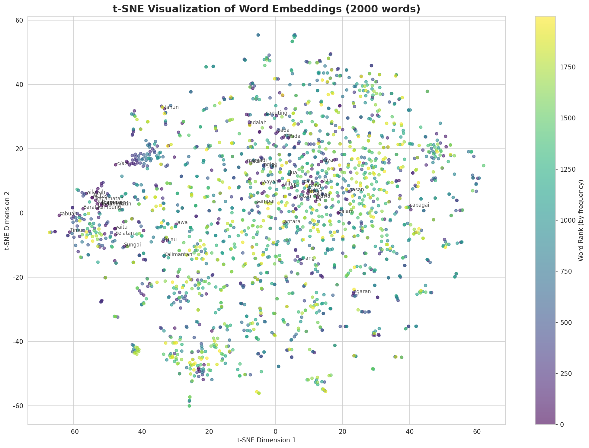 t-SNE Words