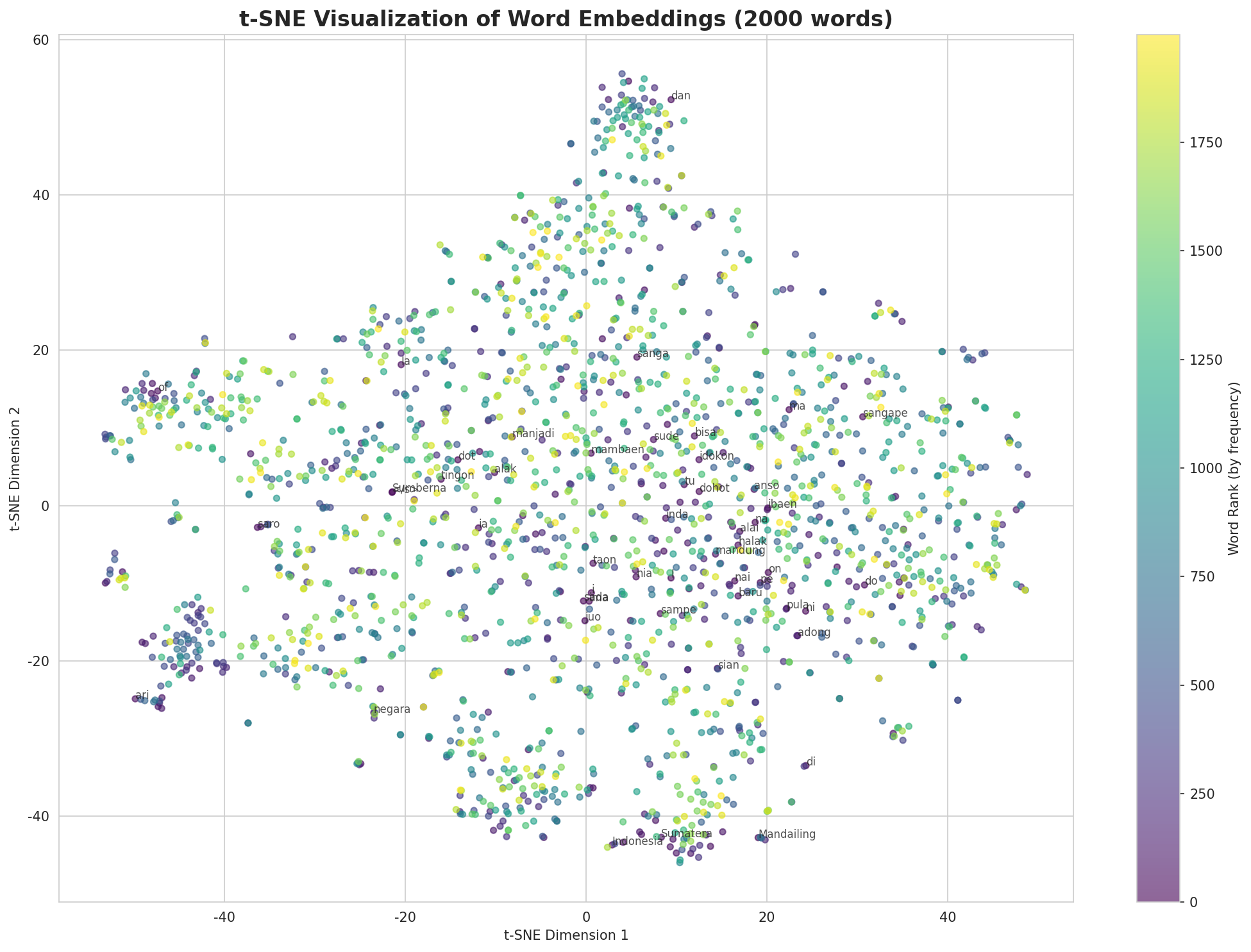 t-SNE Words