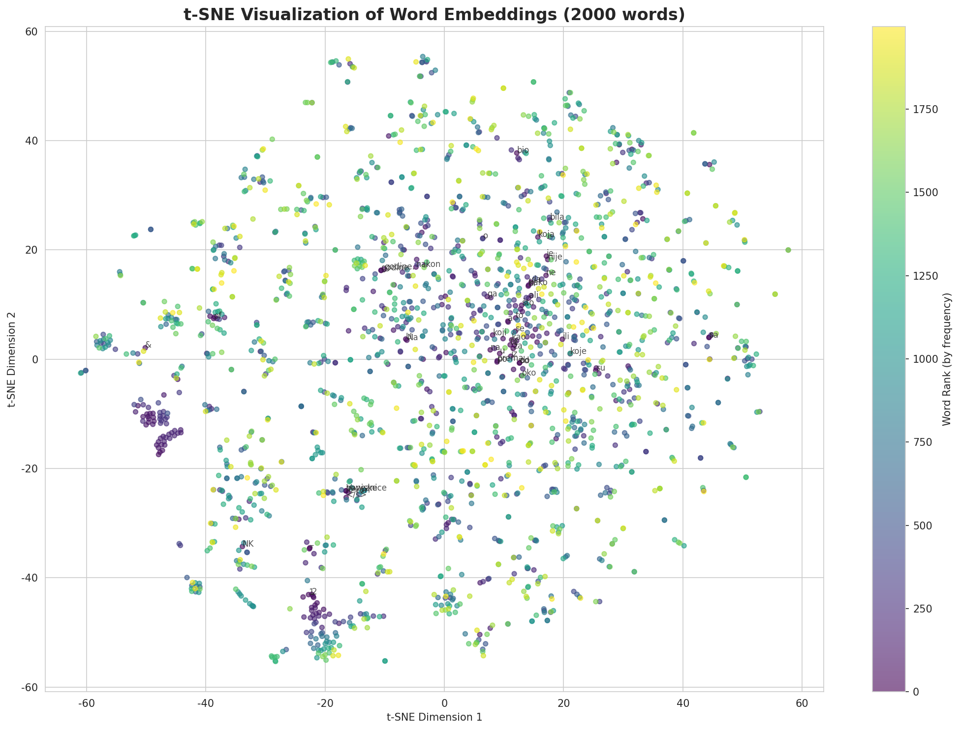 t-SNE Words
