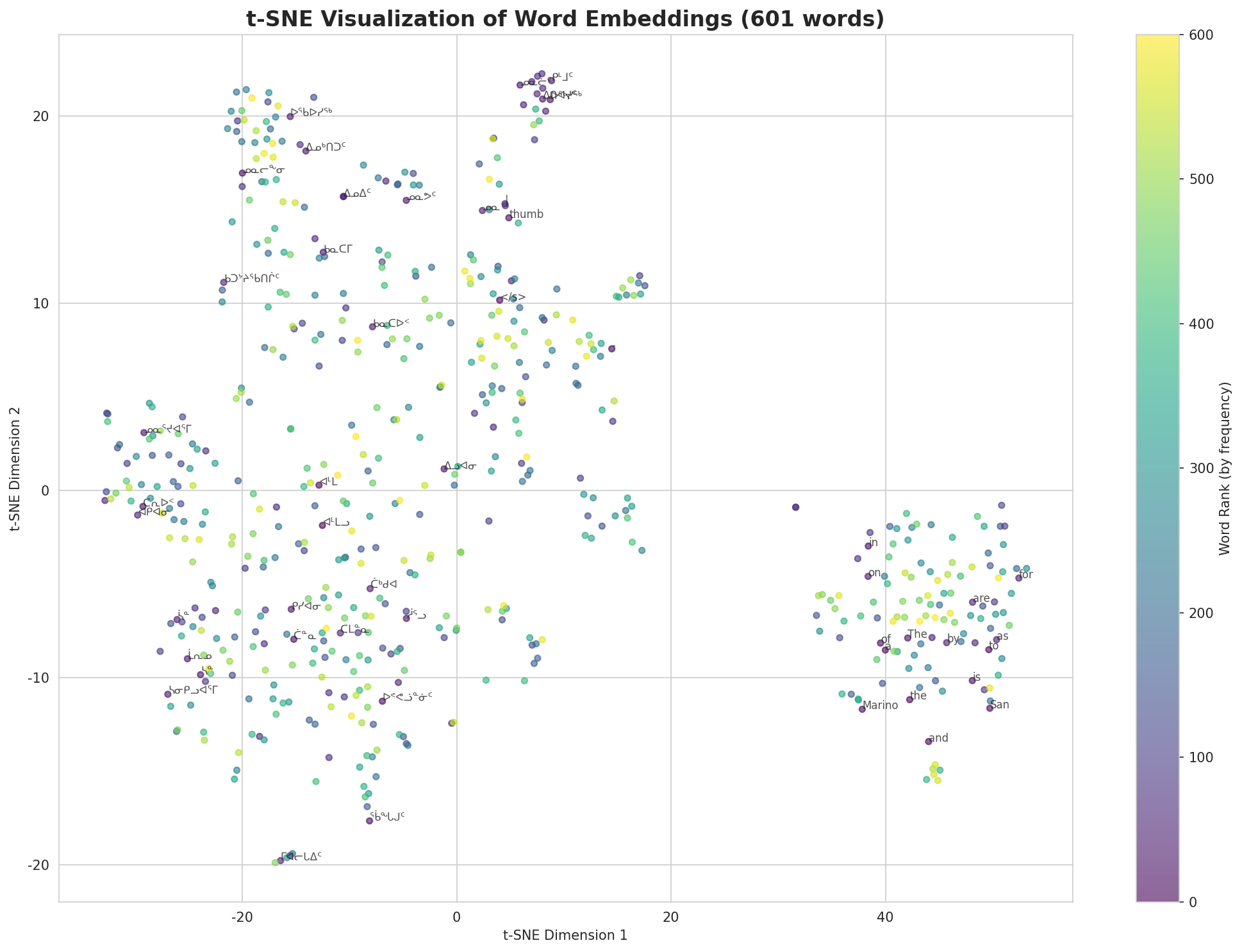 t-SNE Words