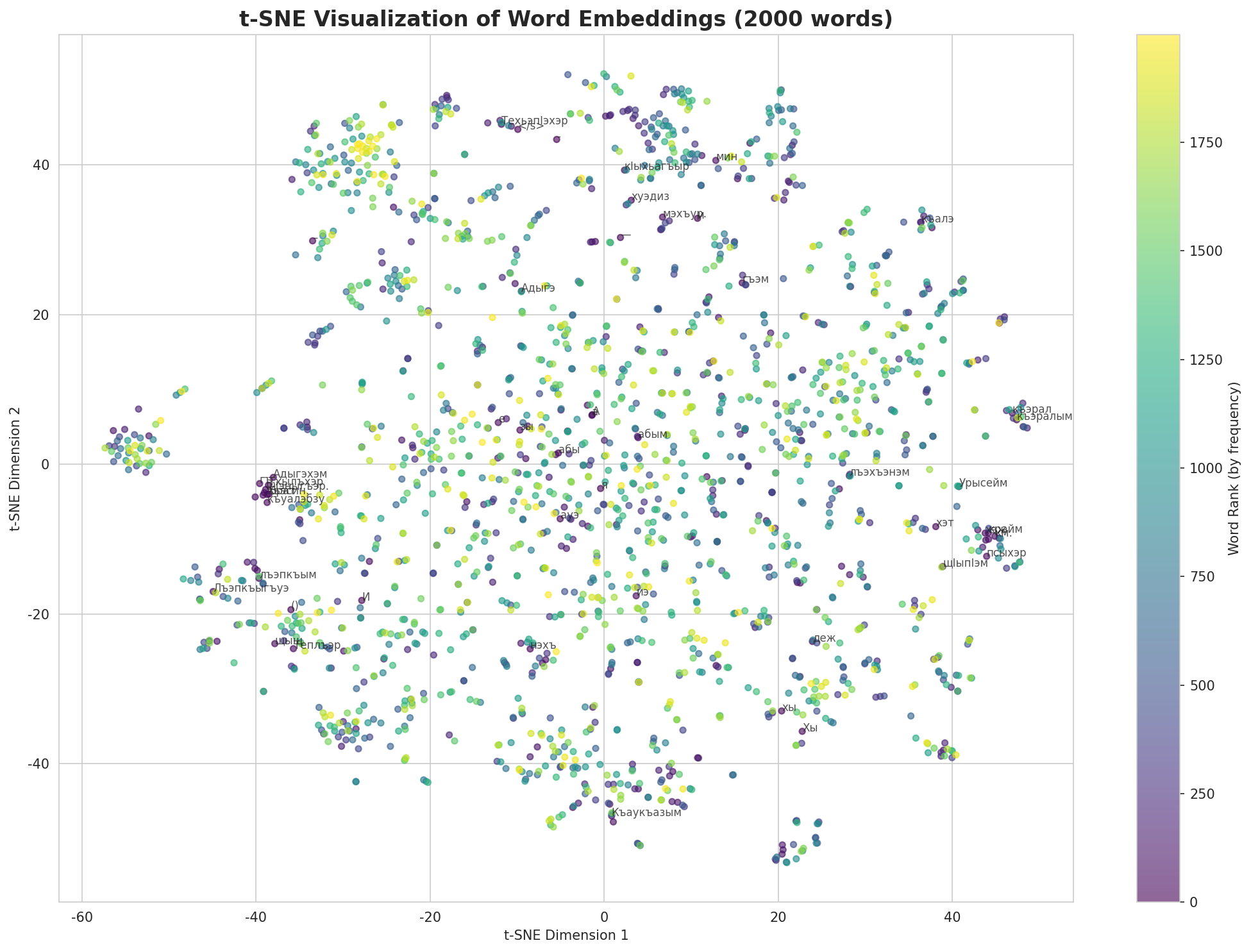 t-SNE Words