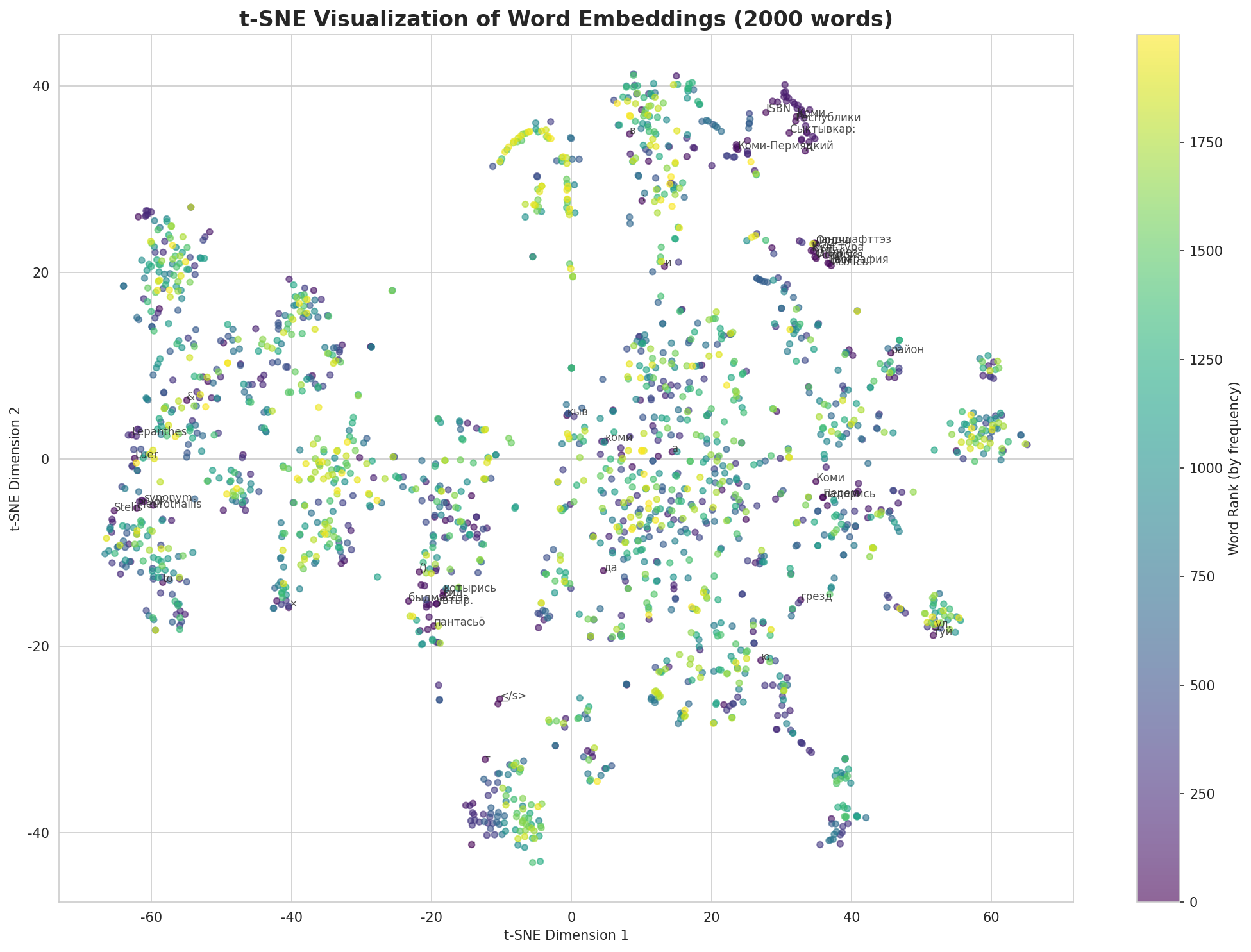 t-SNE Words