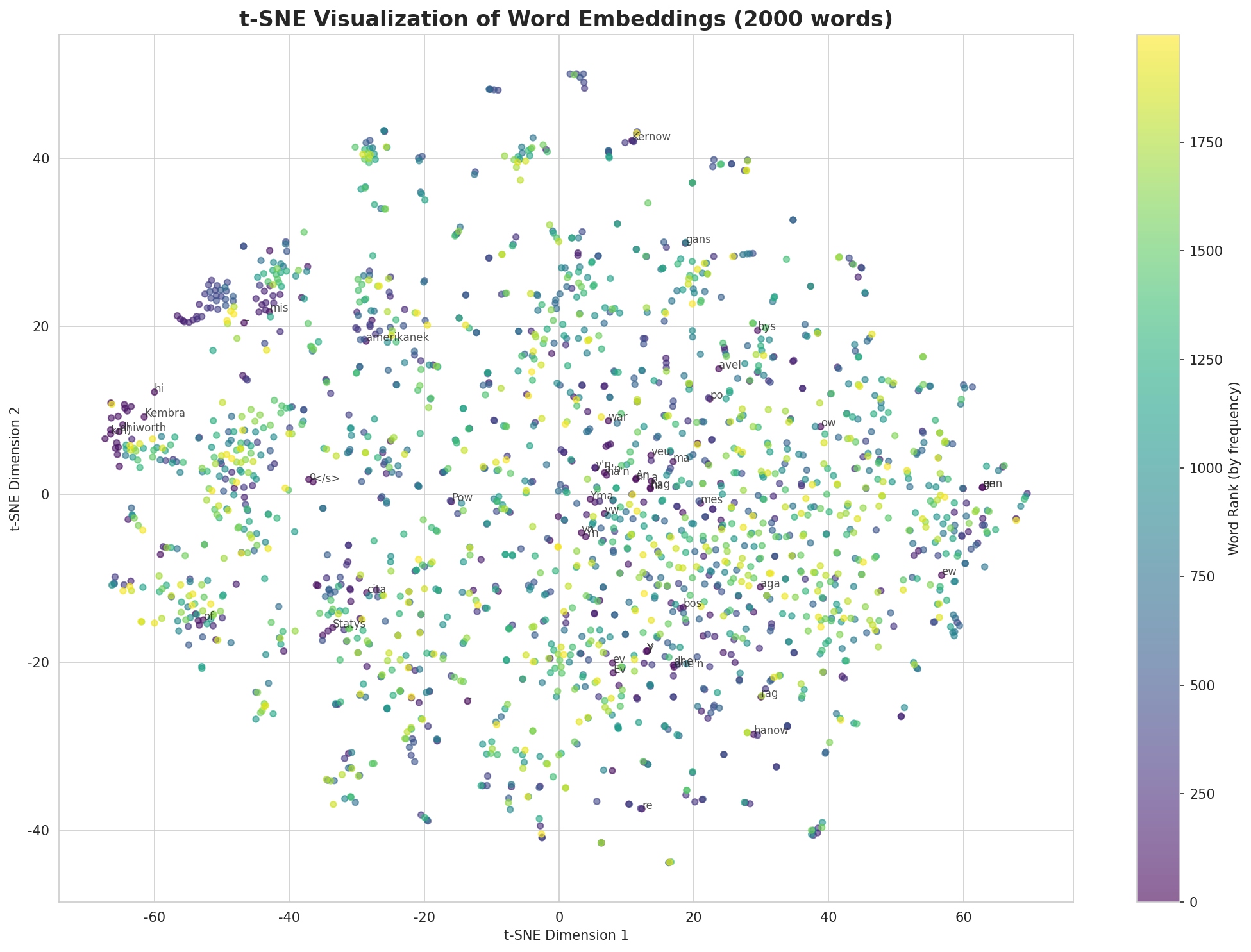 t-SNE Words