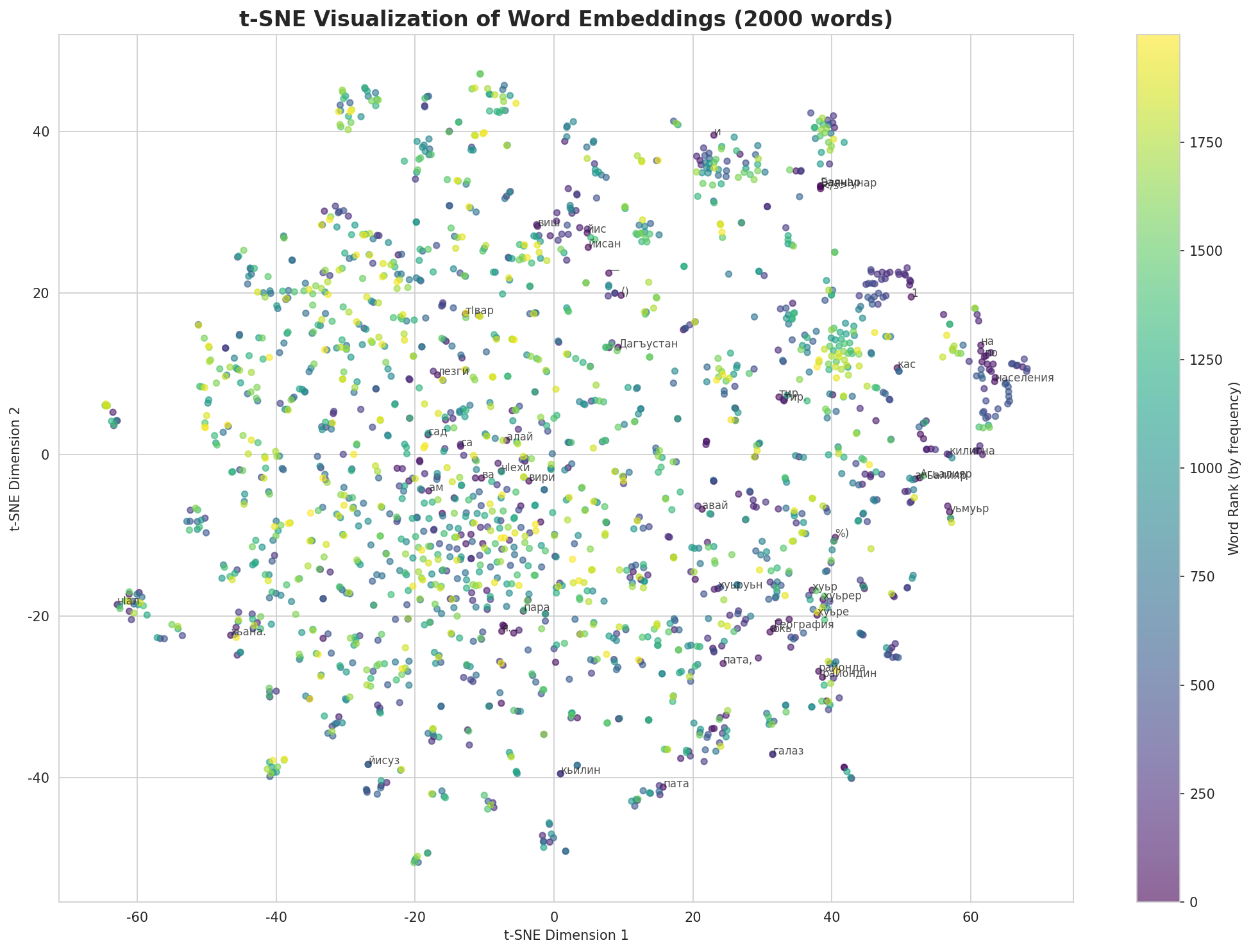 t-SNE Words