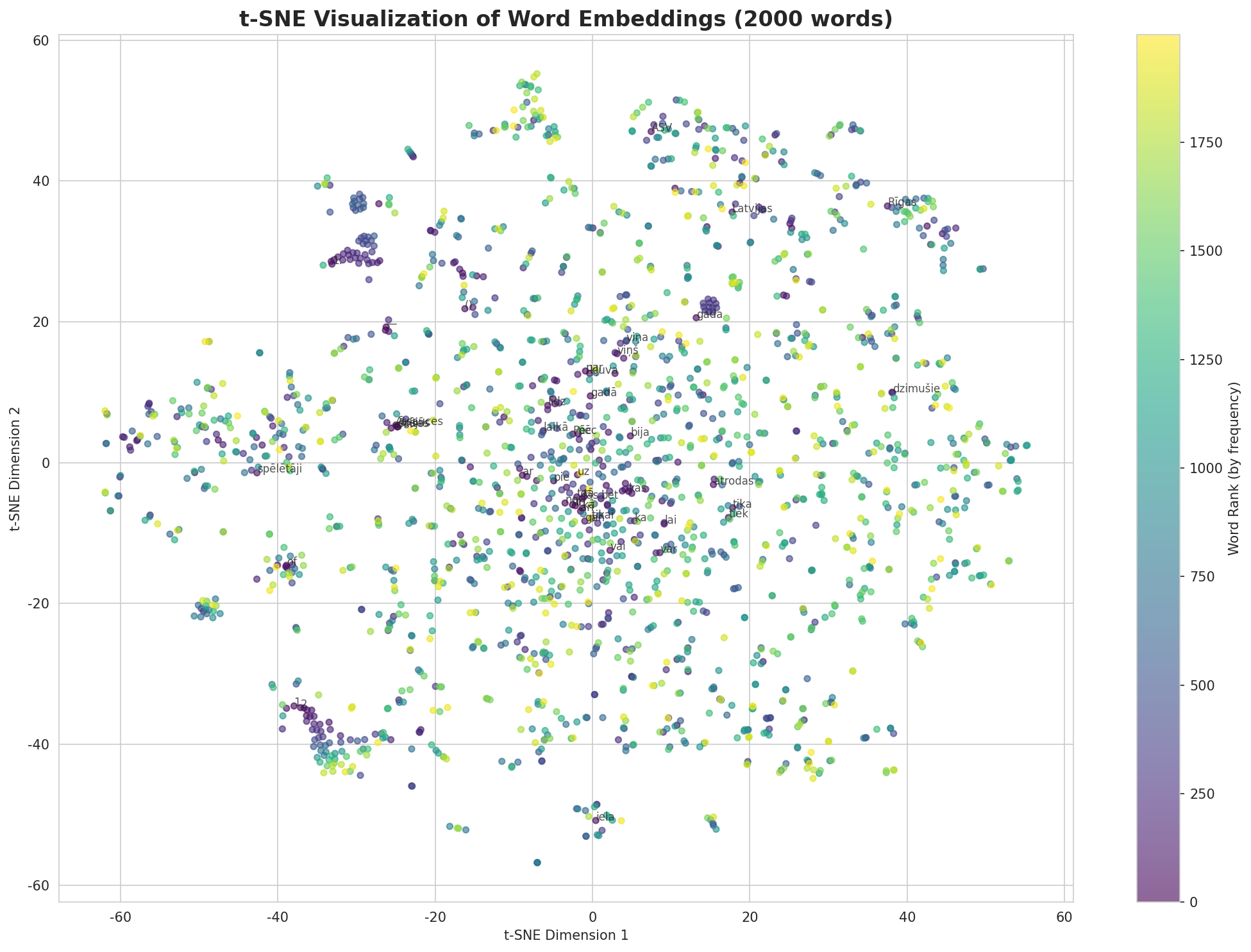 t-SNE Words